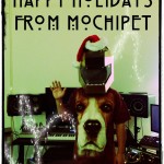 Happy Holidays From Mochipet!