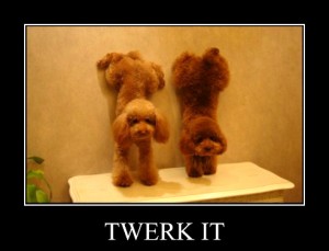 TwerkPets