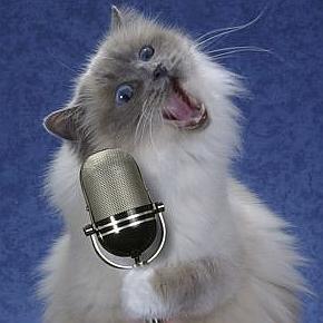 a_microphone_and_cat_singing.jpg