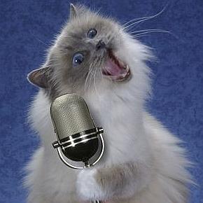 a_microphone_and_cat_singing.jpg
